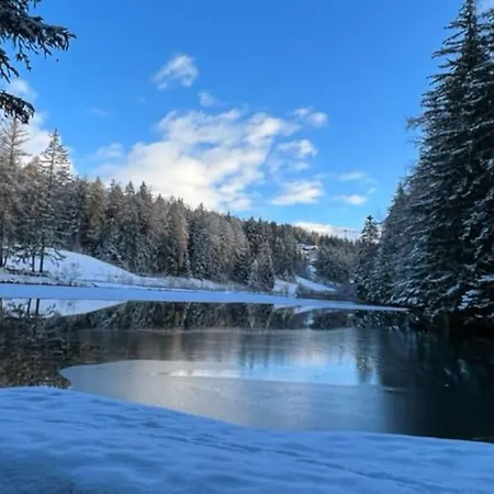 דירה Chic Small New Up To 4 People, Pets Allowed *